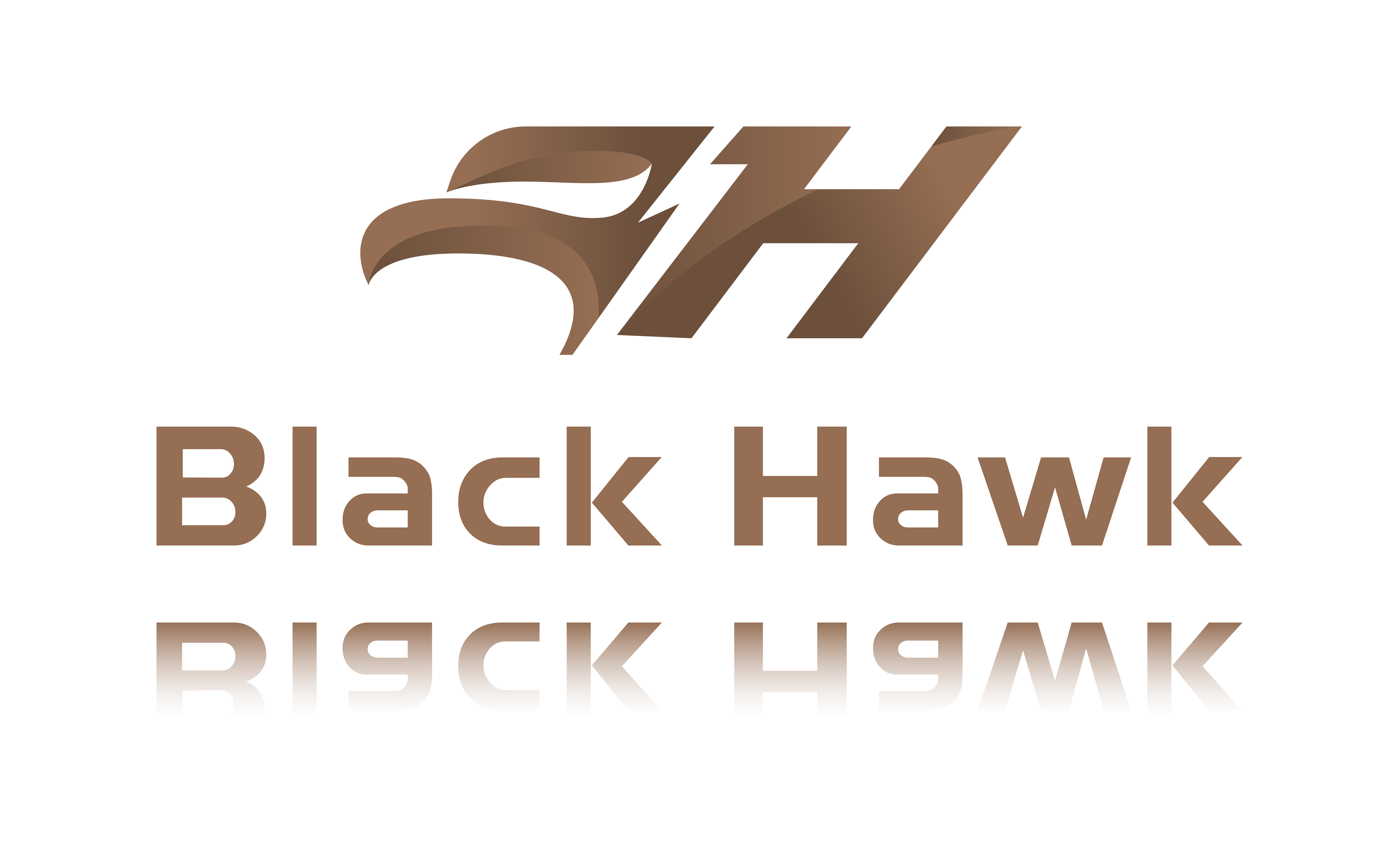 Black Hawk Acquisition Corporation | Transaction History