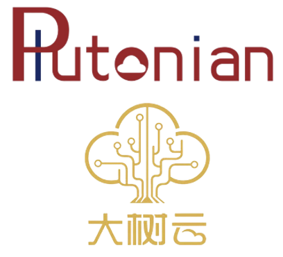 Plutonian Acquisition Corp. Merger with Big Tree Cloud International Group Limited