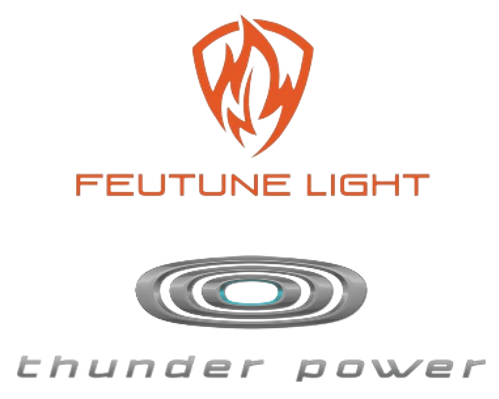 Feutune Light Acquisition Corporation Merger with Thunder Power Holdings, Inc.